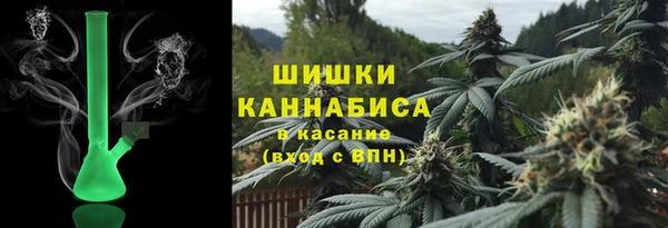 сатива Алзамай