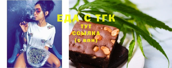 хмурый Алексин