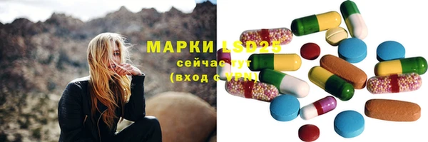 сатива Алзамай