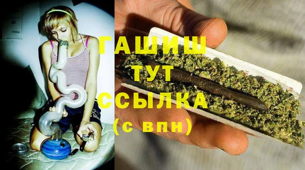 сатива Алзамай