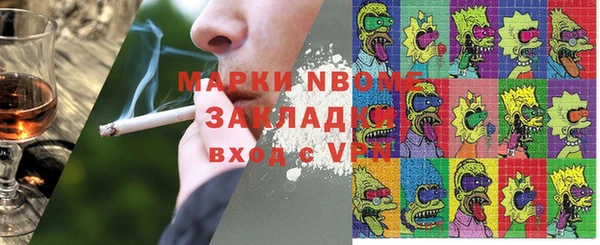 хмурый Алексин