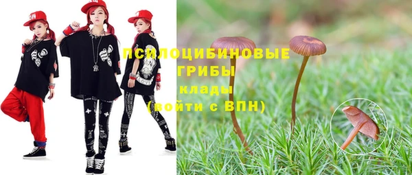 МДПВ Алексеевка